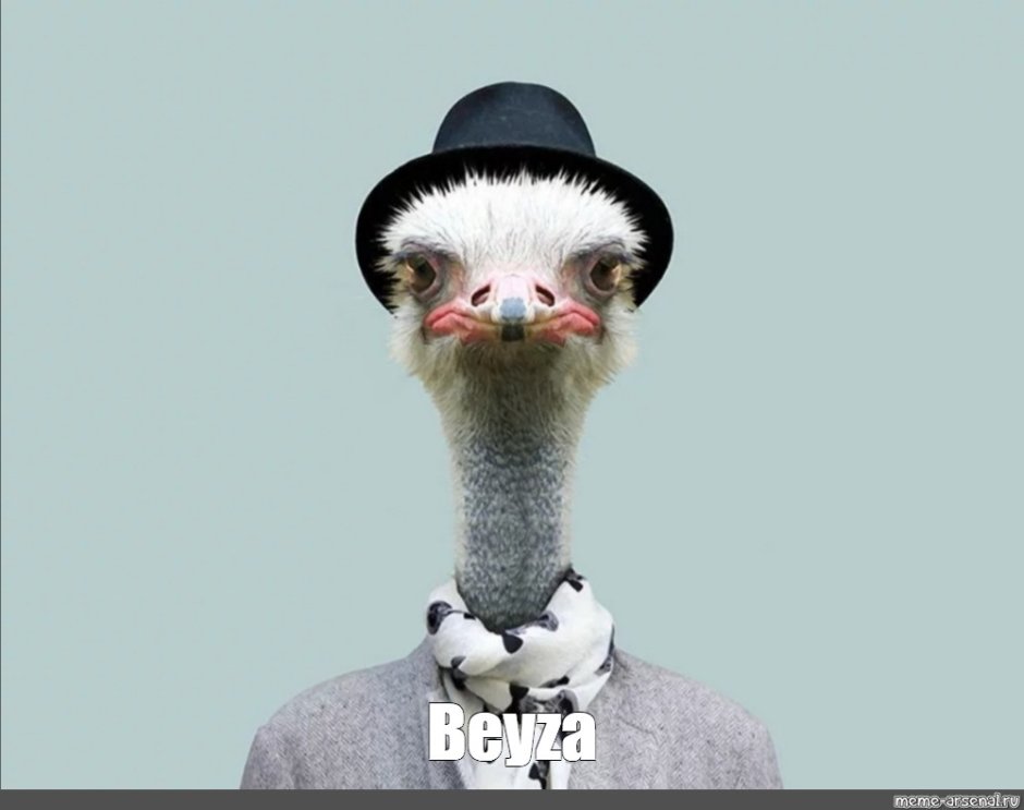 Страус фэнтези