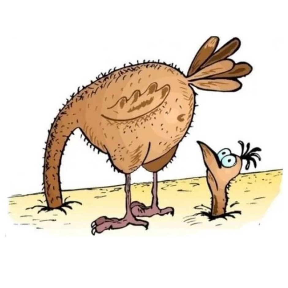 Девушка на страусе Мем