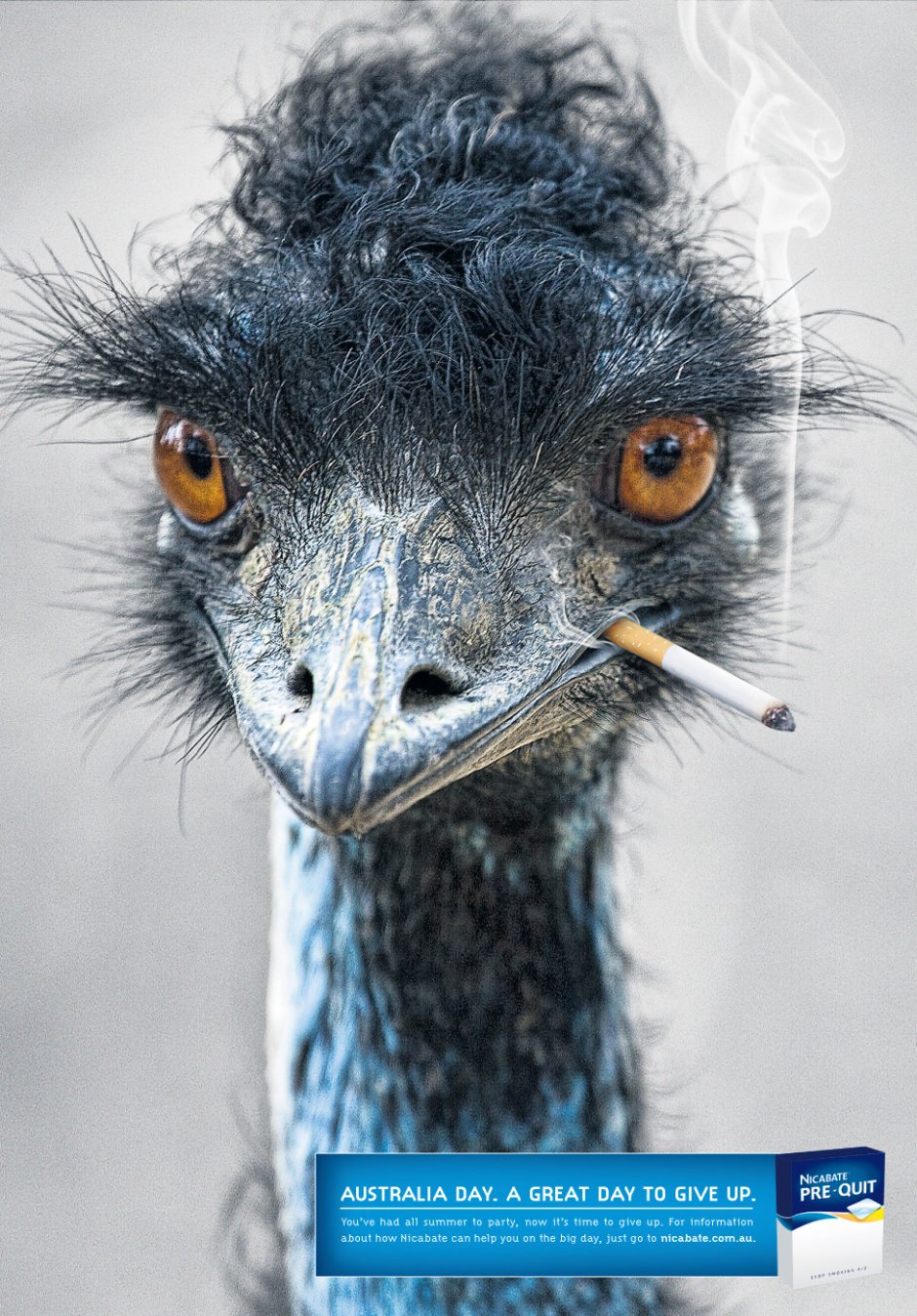 Техника страусиного клонирования