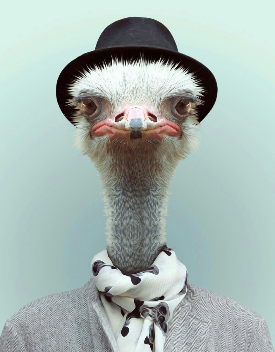 Животные в костюмах