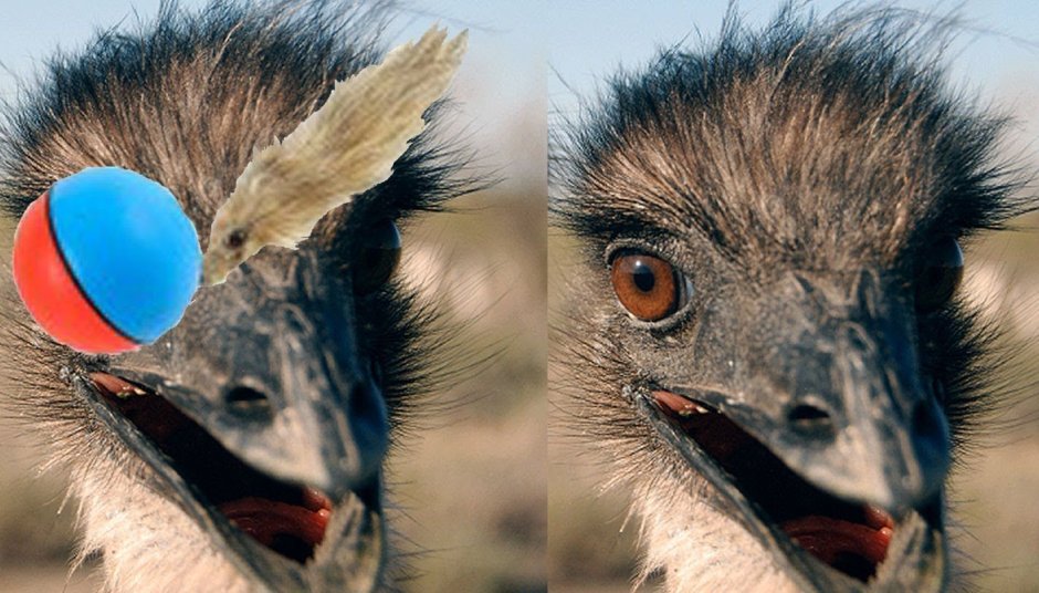 Страус мультик