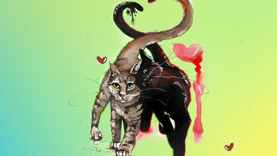Котики арт