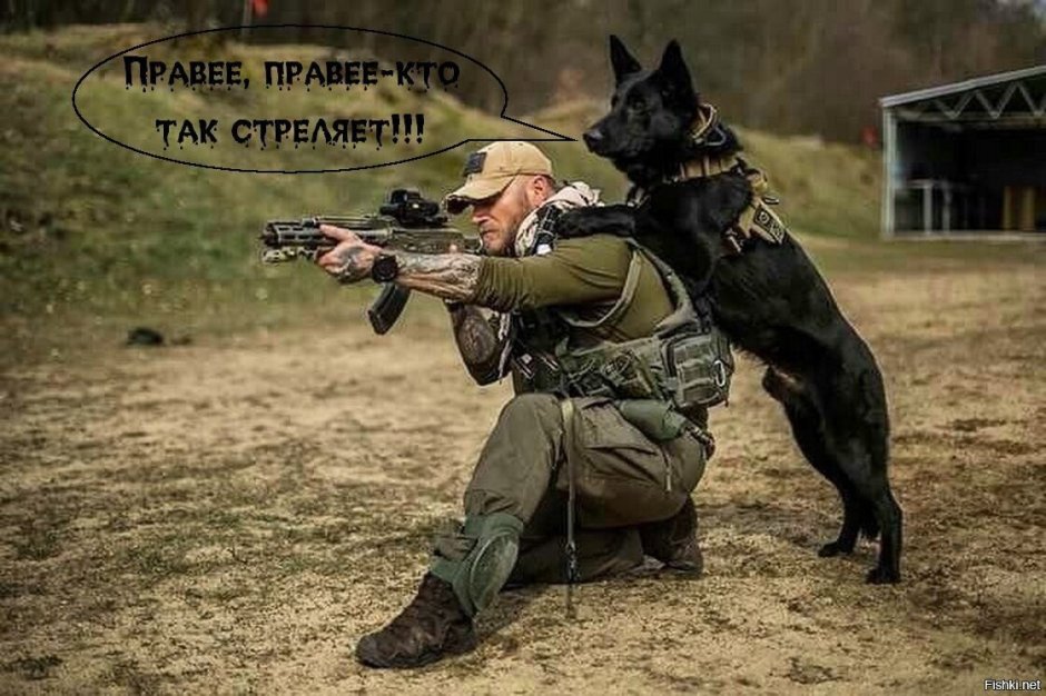 K9 овчарка Army