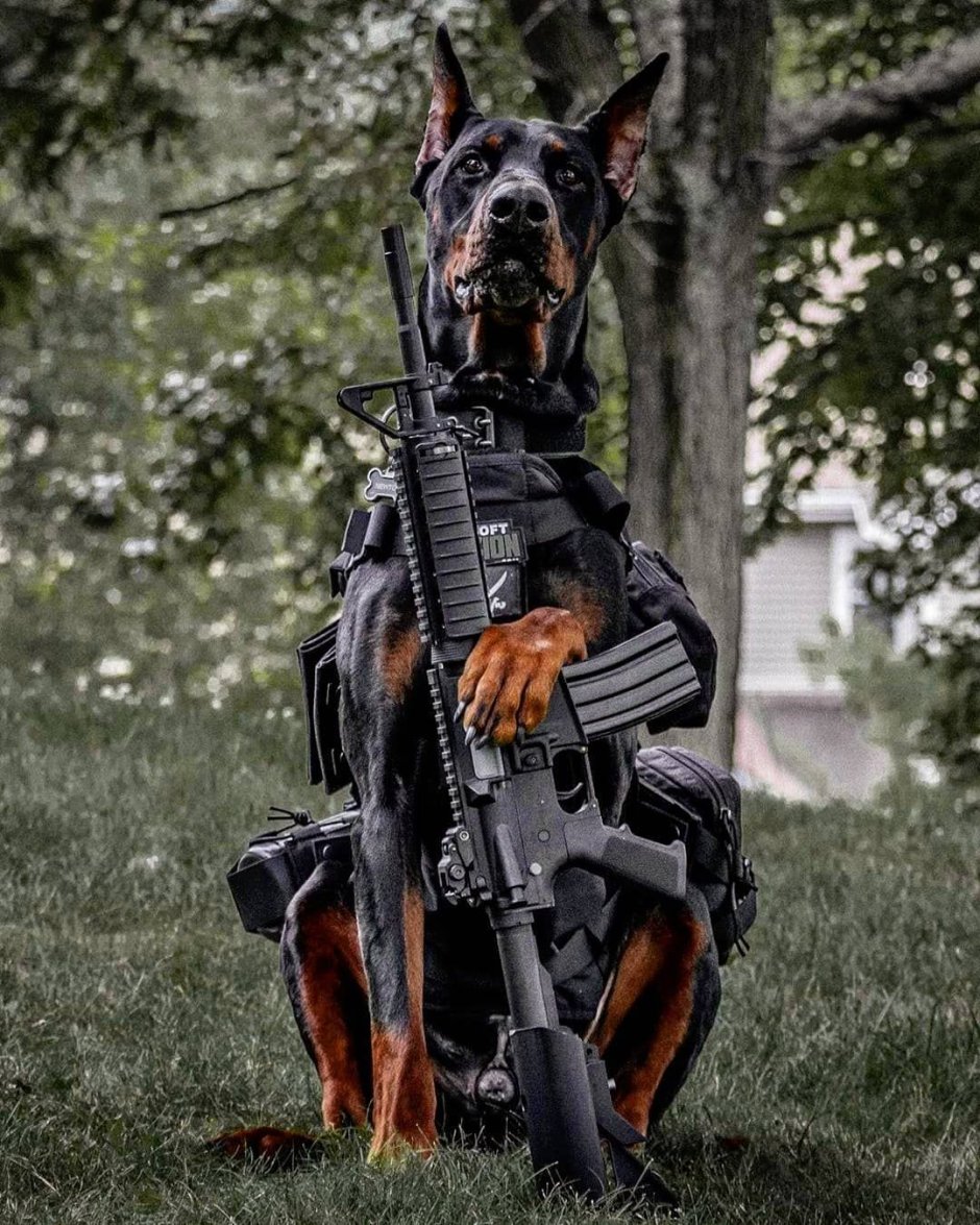 Доберман рэпер