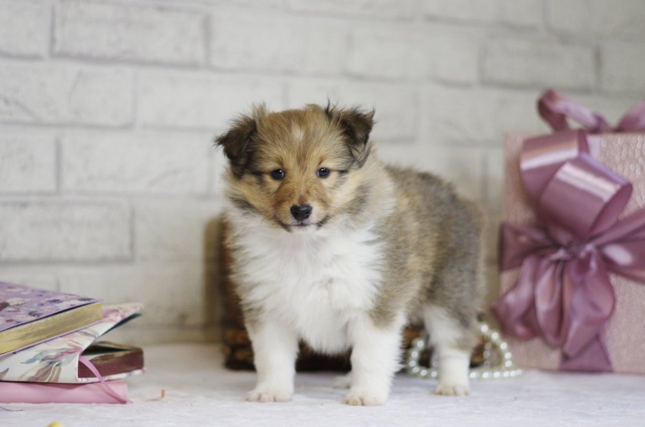 Картинки с добрым