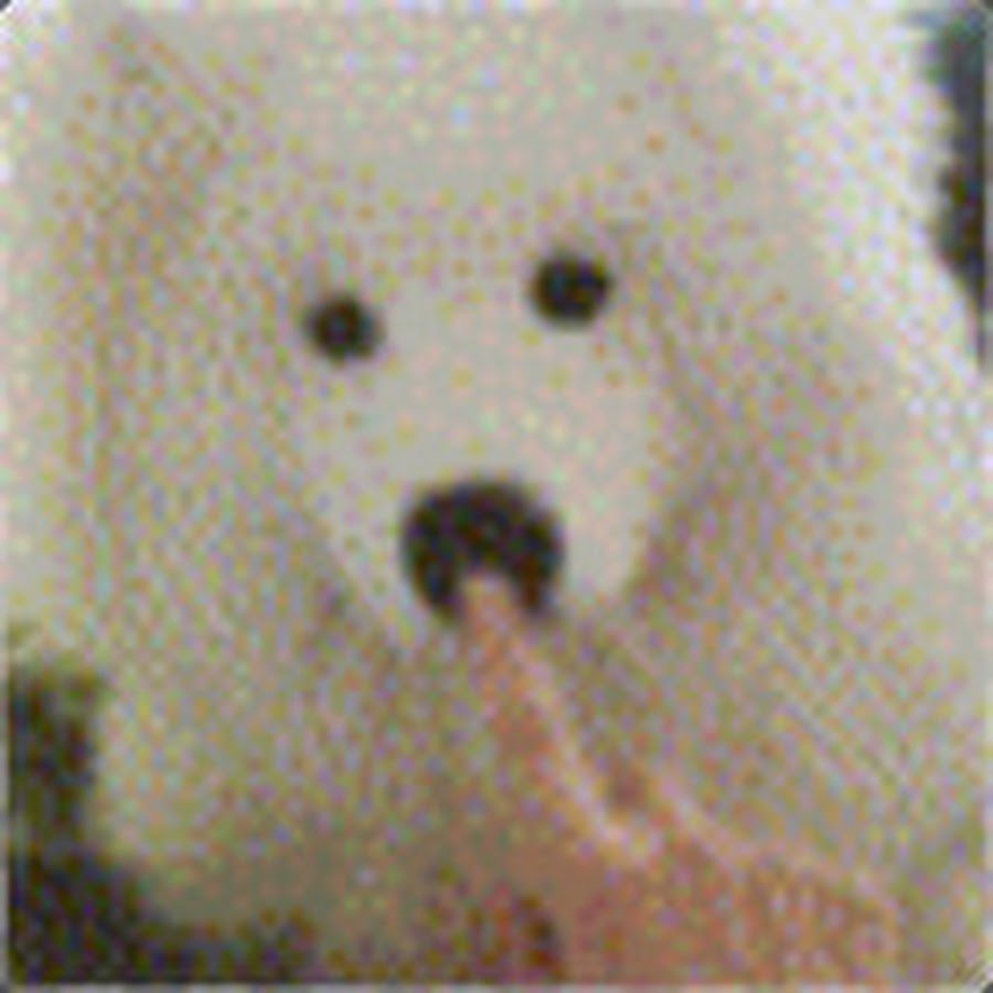 Собака китайская хохлатая маленькая