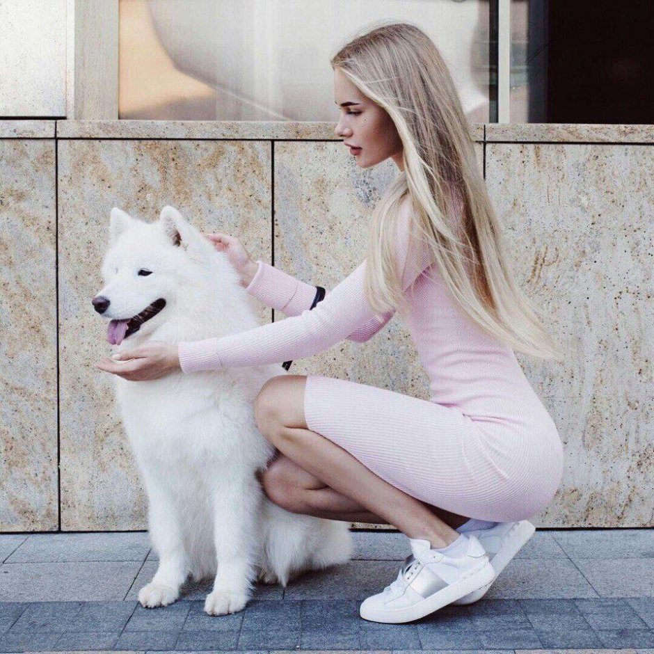 Шутки про самоедскую лайку