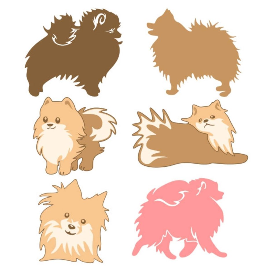 Померанский шпиц вектор