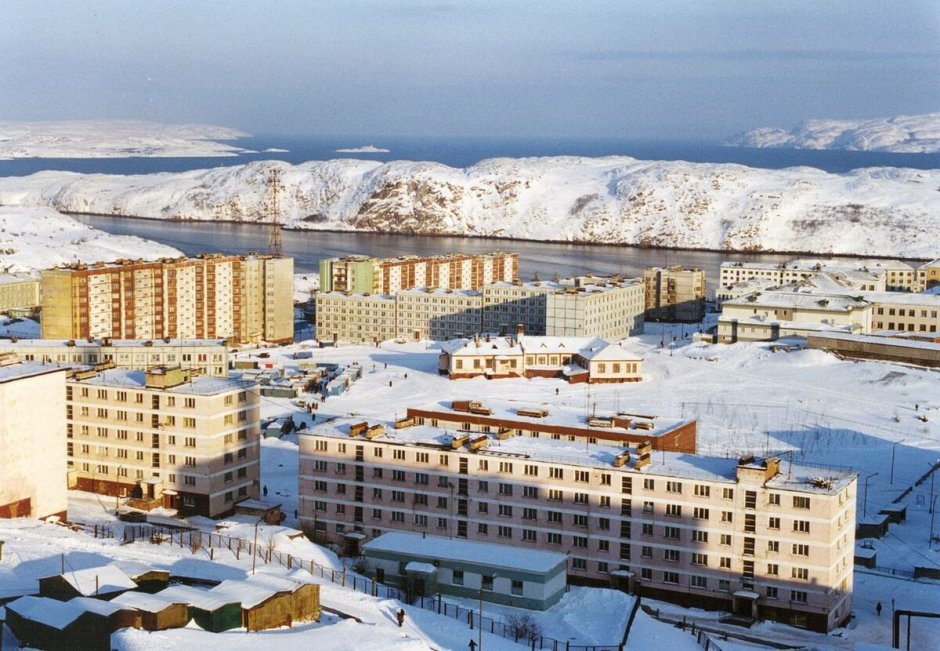 Белый медведь рисунок