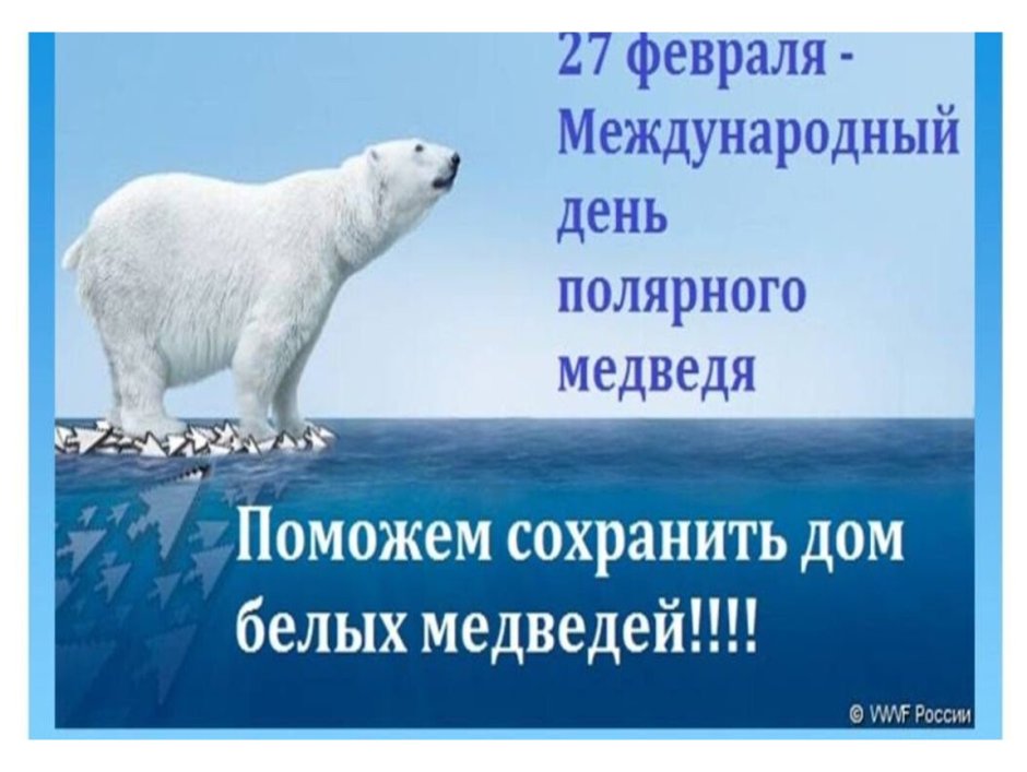 Девушка с котом селфи