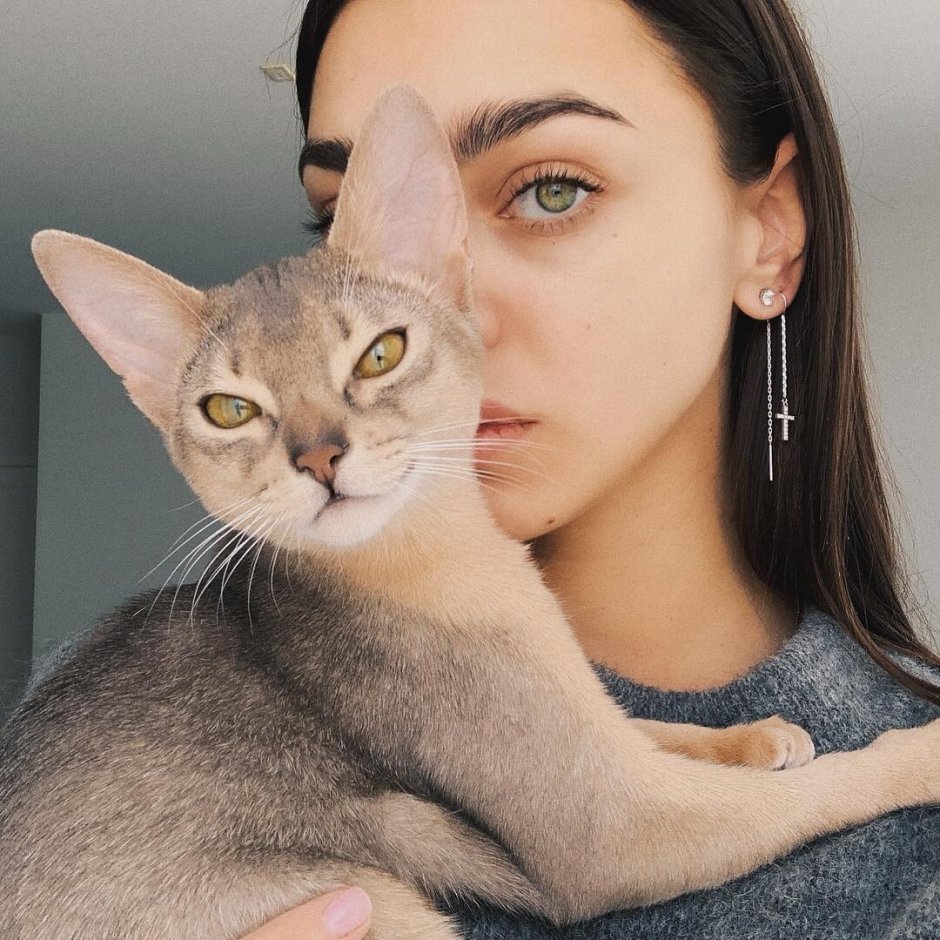 Катерина шпица Ришар
