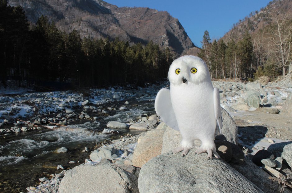 Кошка с сердечком