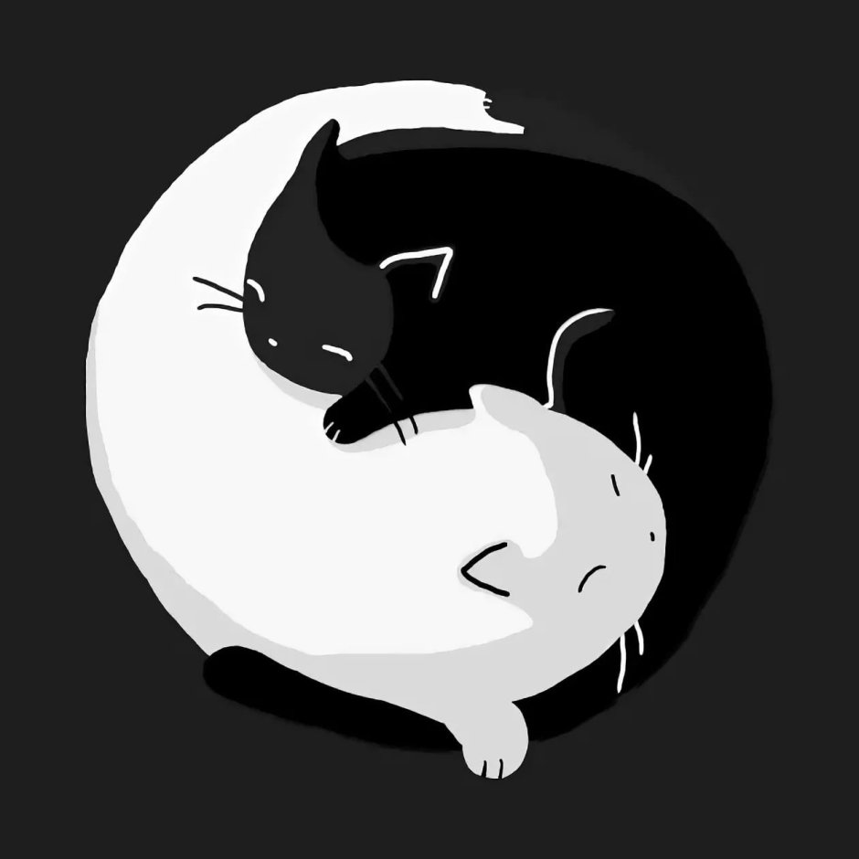 Кошачий Инь Янь