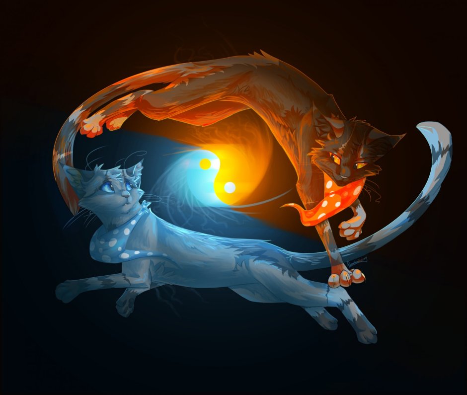 Коты Воители Инь Янь