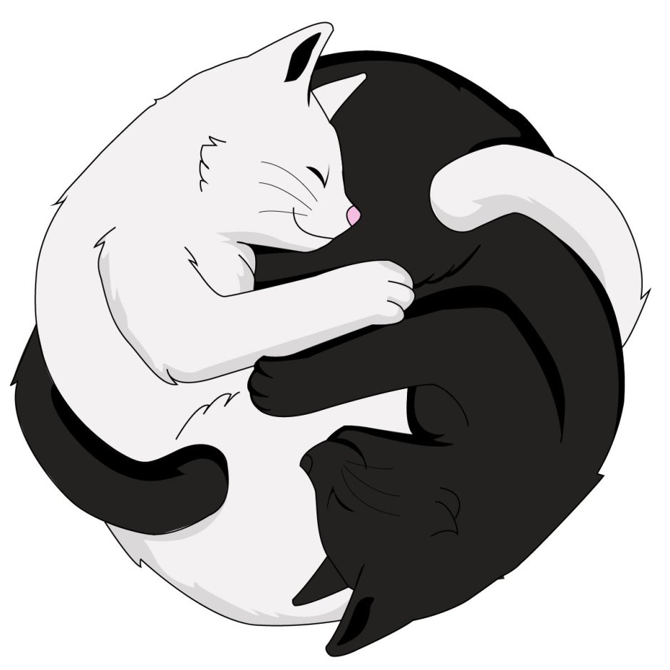 Котик в круге