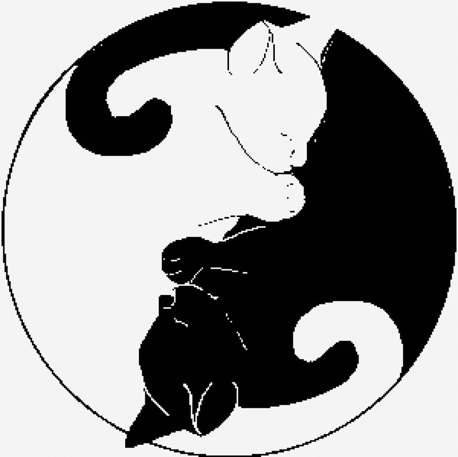 Коты Инь Янь