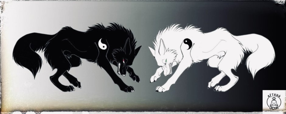 Кошка в круге