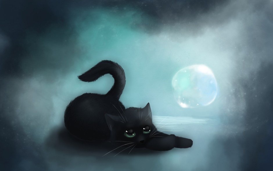 Коты Инь Янь