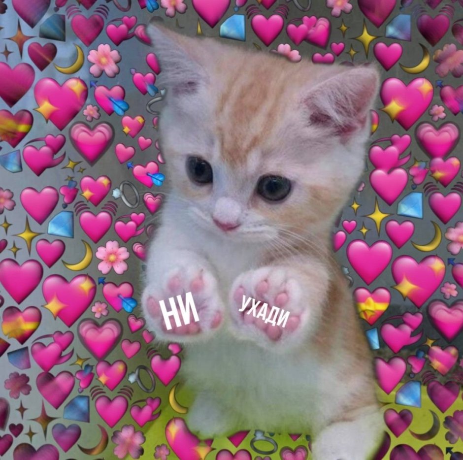 Котенок с сердечком