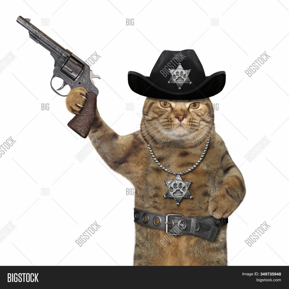 Коты полицейские