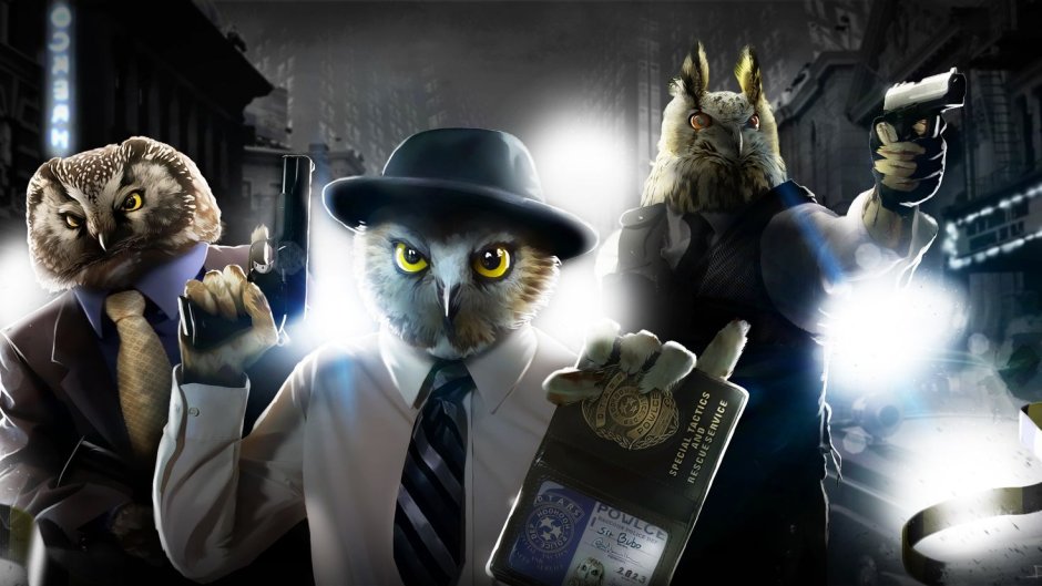 Кот Феликс