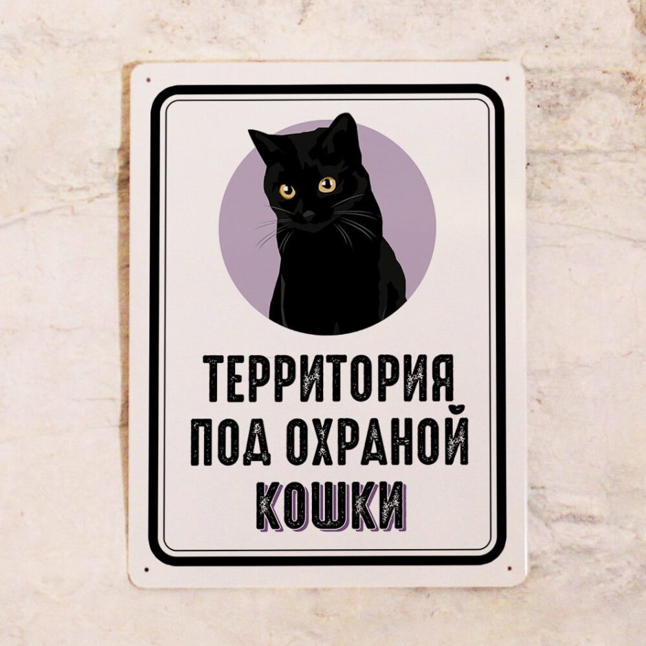 Табличка территория охраняется котами