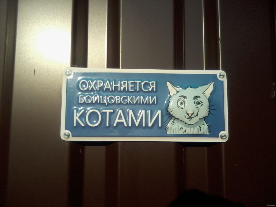 Охраняется котом