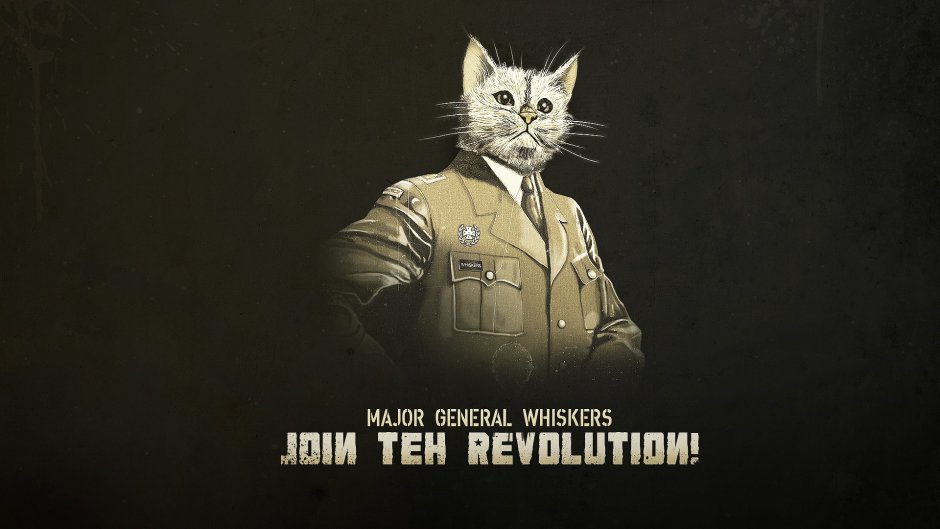 Военные коты