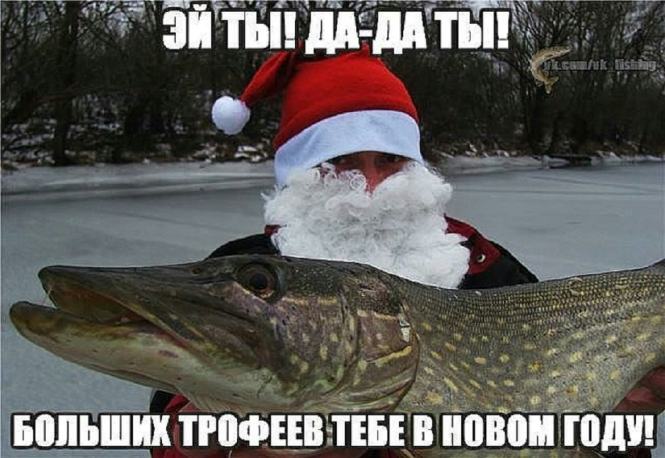 С наступающим новым годом рыбаки