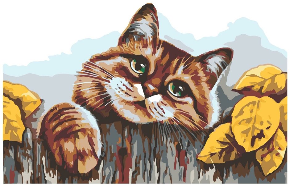 Деревенский кот