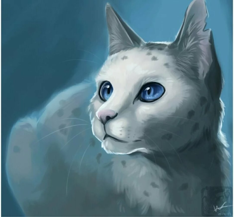 Серо голубая кошка