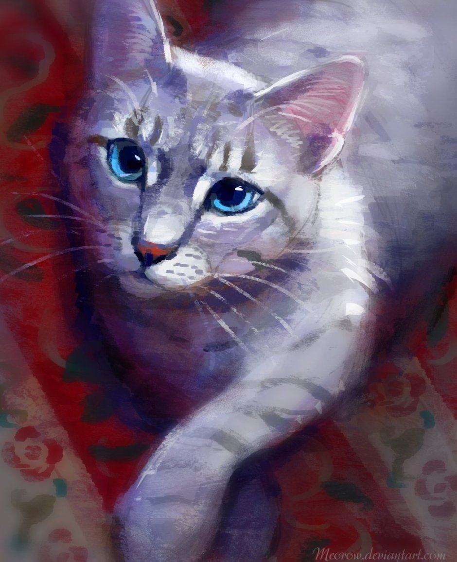 Коты Воители БЕЛОЗВЁЗД