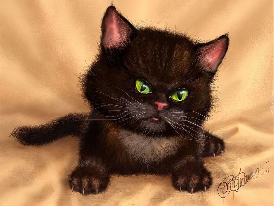 Злой черный котенок