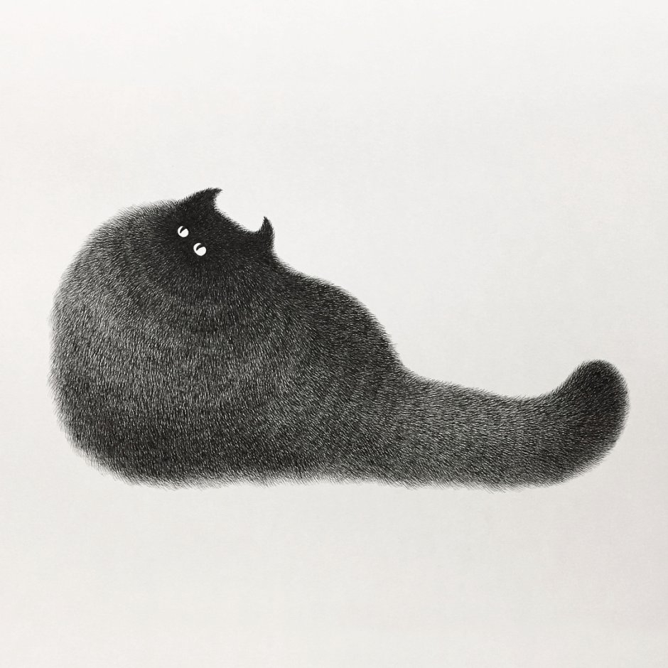 Толстая черная кошка