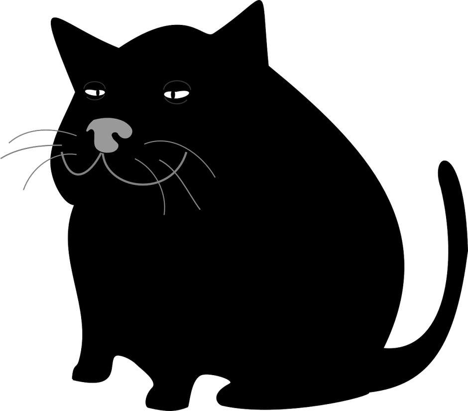 Фамильяр черный кот