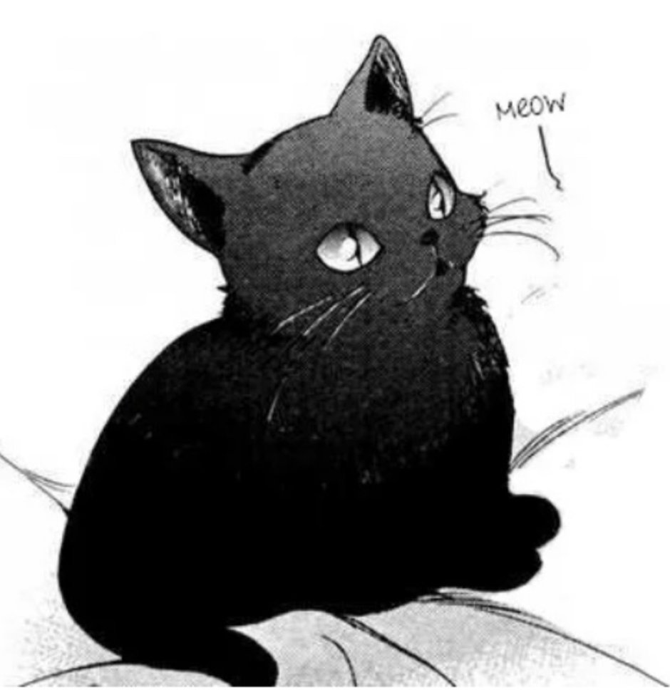 Скетчбук коты