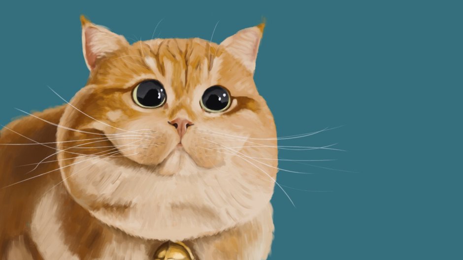 Толстый кот обои