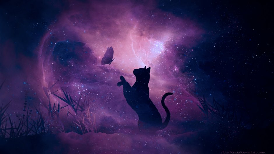 Космическая кошка