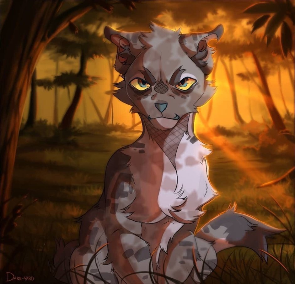 OWLSPARK «Rory»