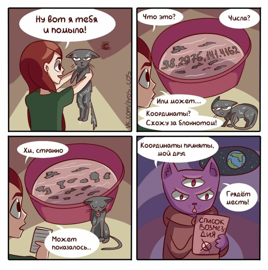 Коты Воители белка и уголёк