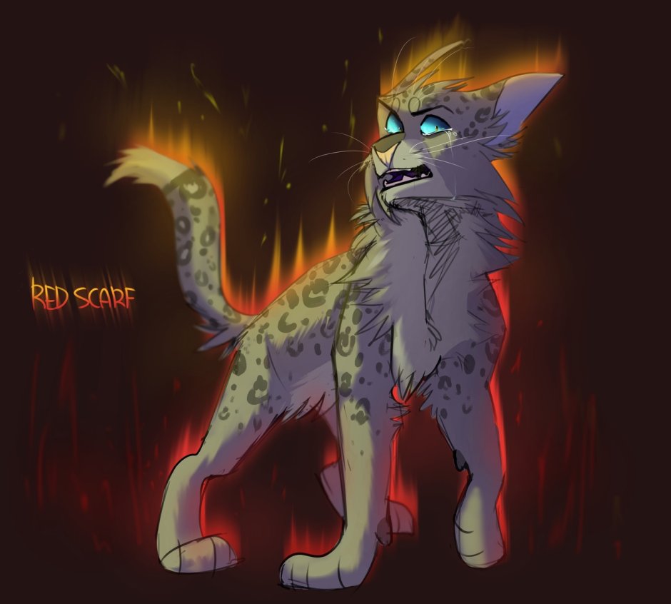 Beluga Cat Fan Art