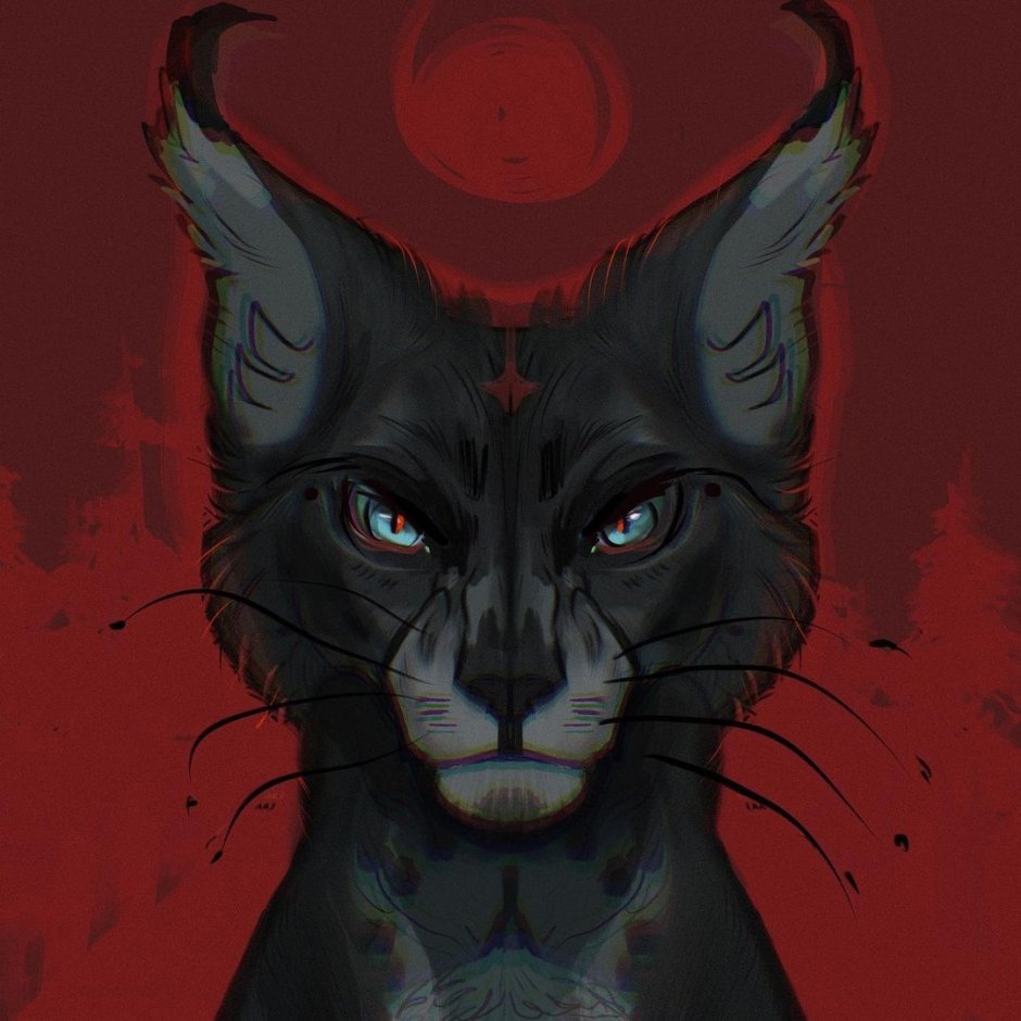 Коты Воители огонь Уголька