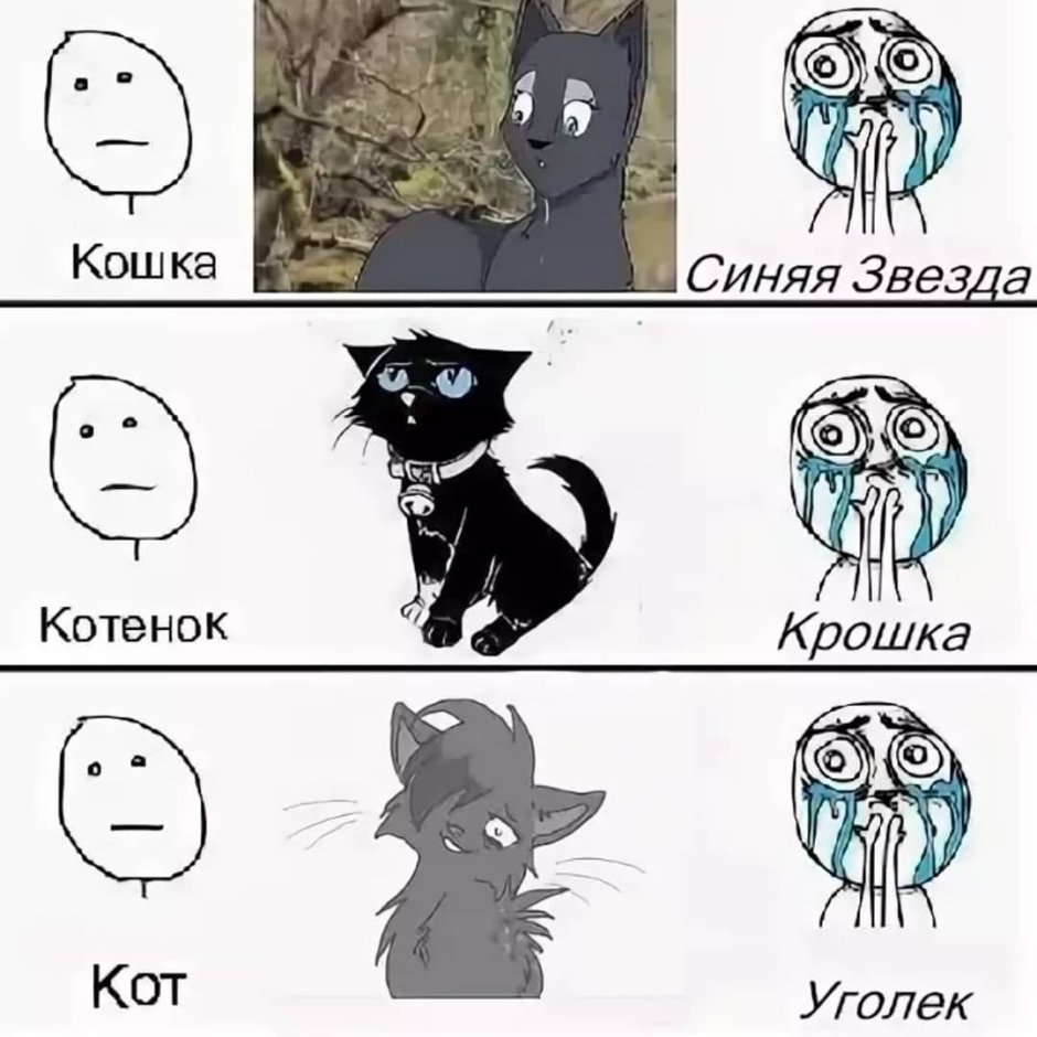 Уголек коты Воители референс
