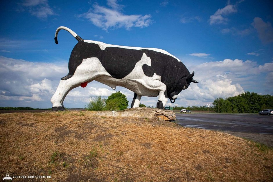 Бык Донетто