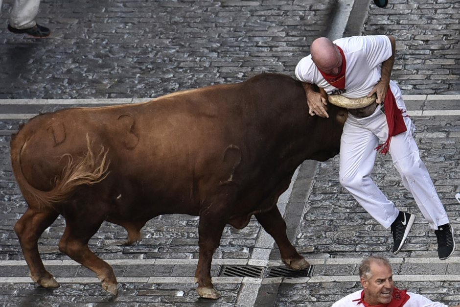 Техасский лонгхорн порода коров