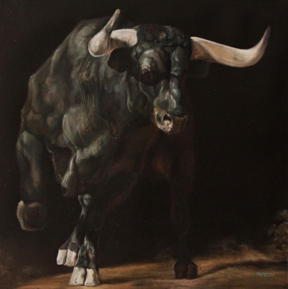 Кьянина порода коров