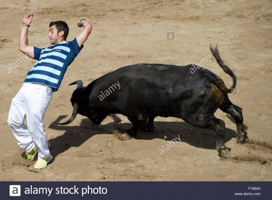 Бешеный бык