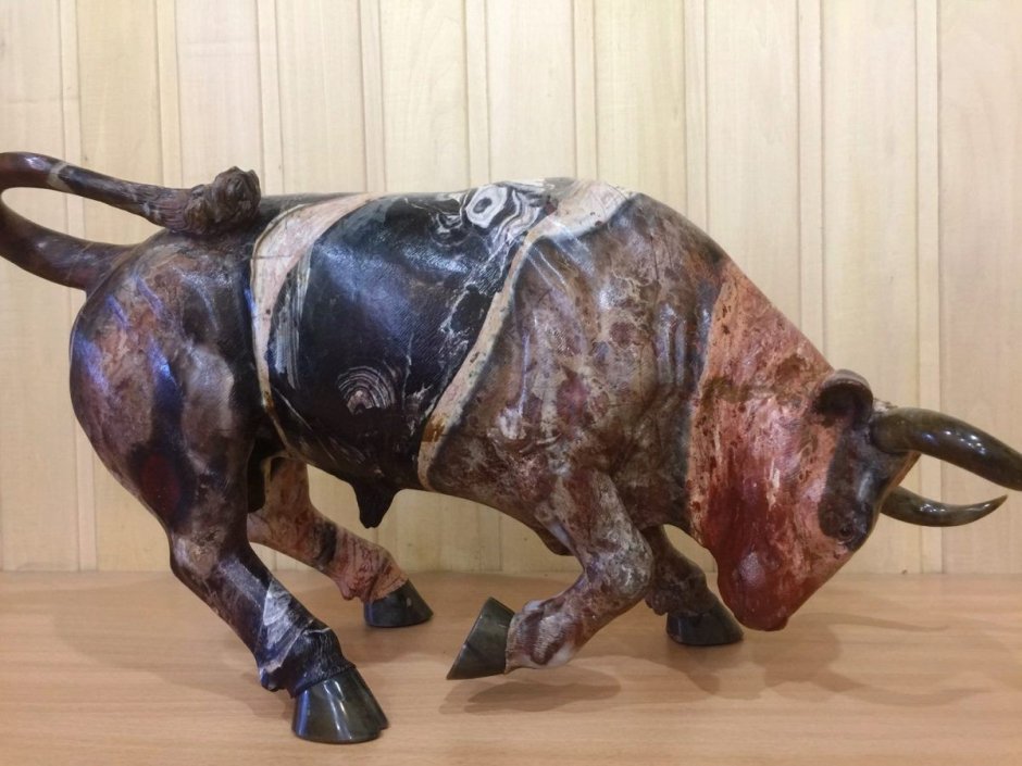 Бык породы Бельгийская голубая