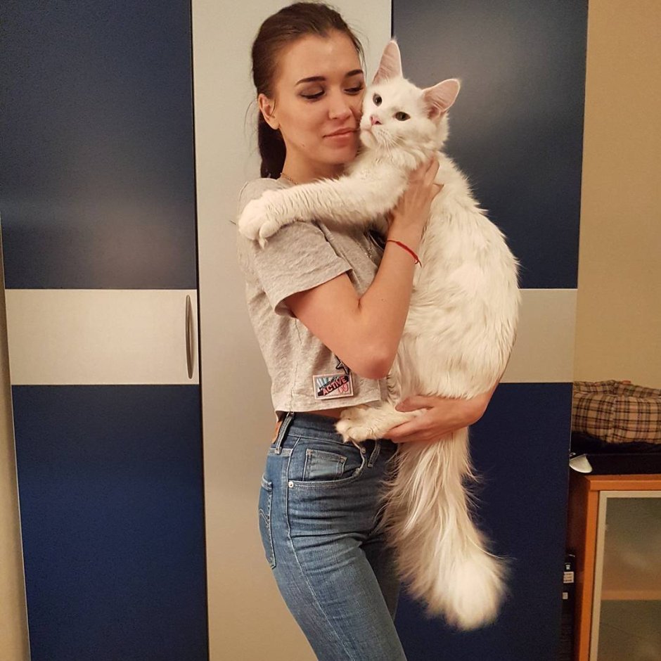 Мейн кун кефир