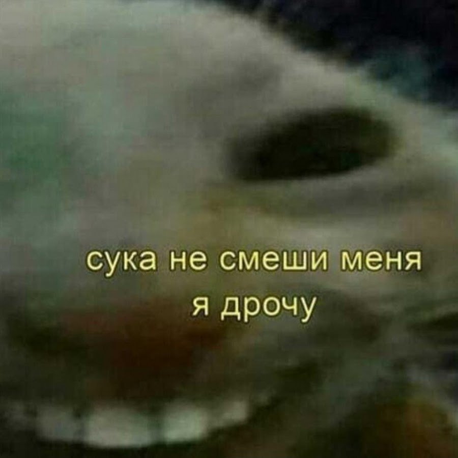 Кричащий котик